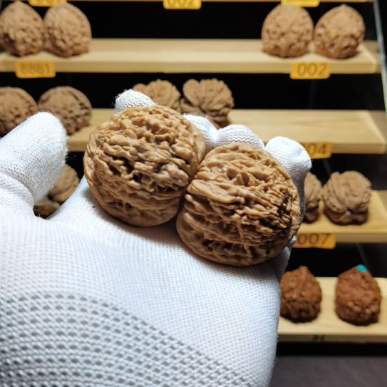 N***1把件文玩核桃司物楼 004