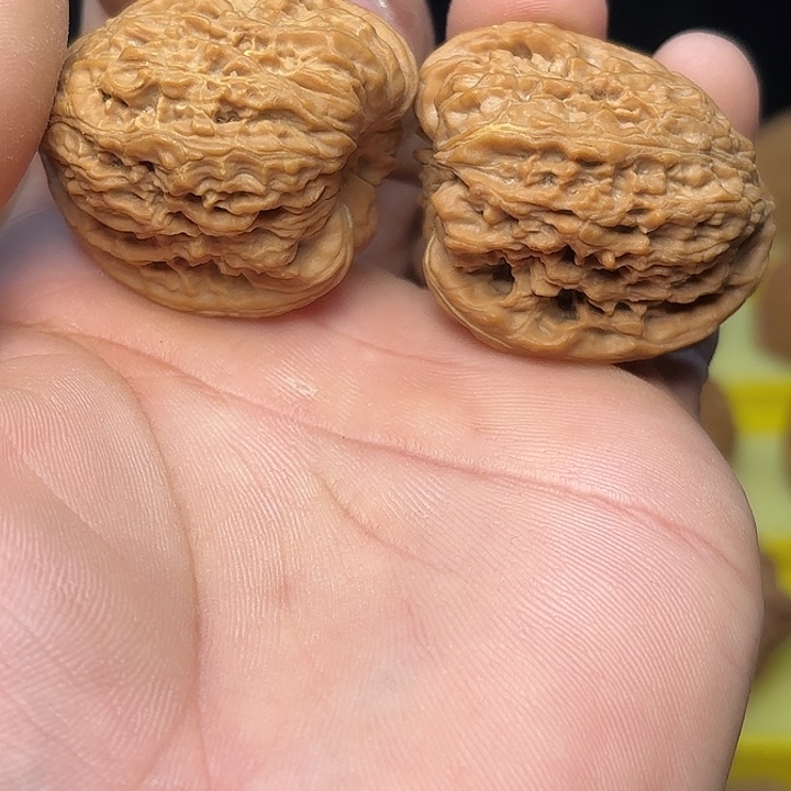 尼***克文玩核桃把件凹底高炮天残36尺7