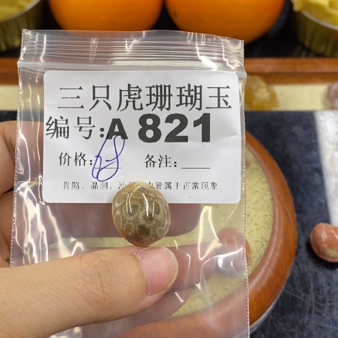 硅化珊瑚（珊瑚玉）1未镶嵌m**i