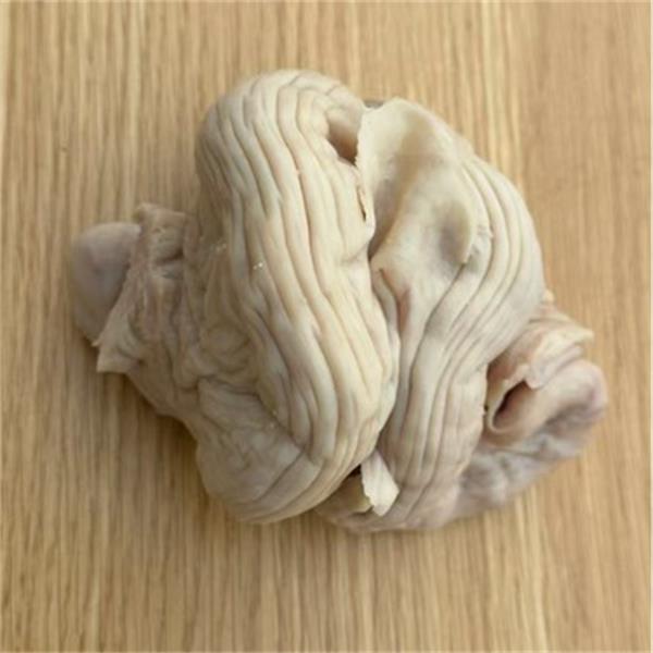 牛下货牛花肠牛脆脆肠