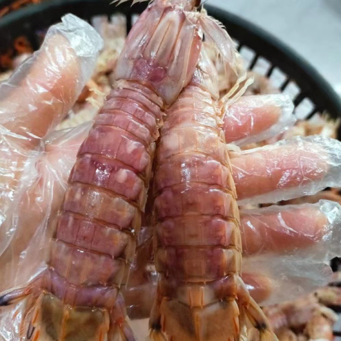 南麂虾姑每日现煮～特大虾姑（5斤装）当天海鲜时价，不退差价