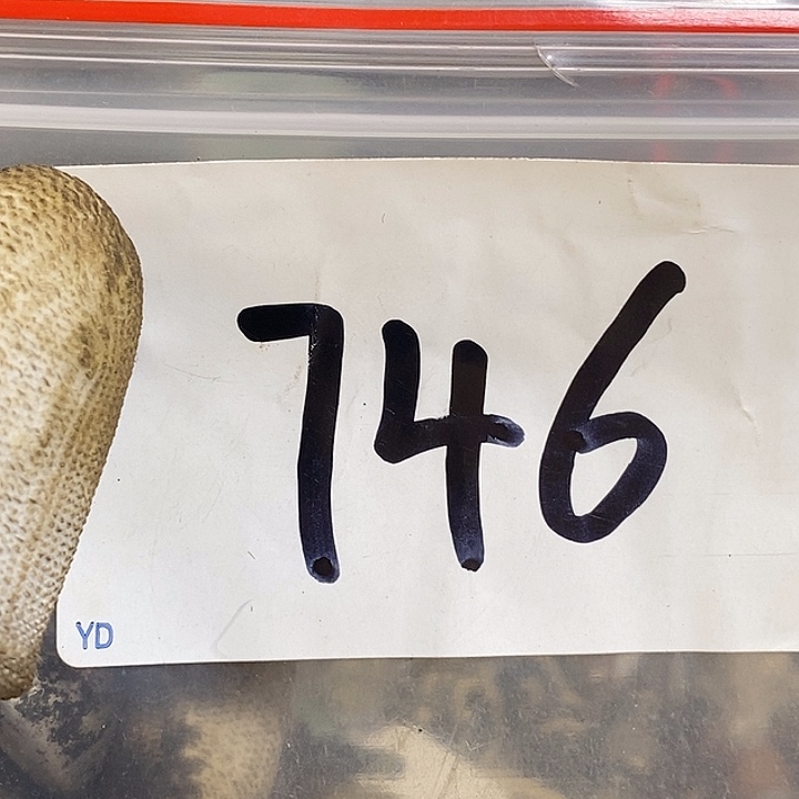 明****最美古村专属链接