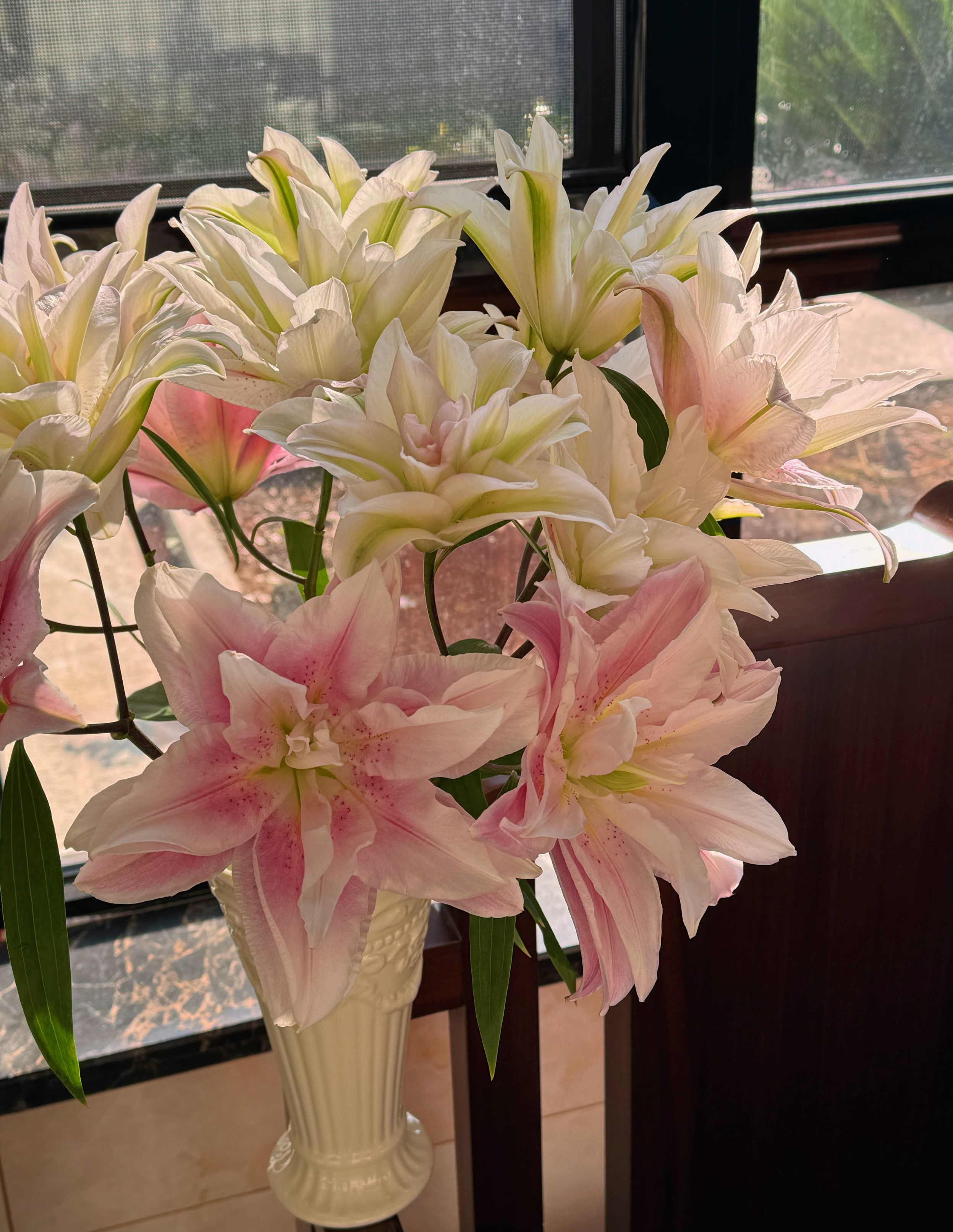 【陌上花开】三头萨拉-百合（无土栽培杆子细 花苞小 花期长~）