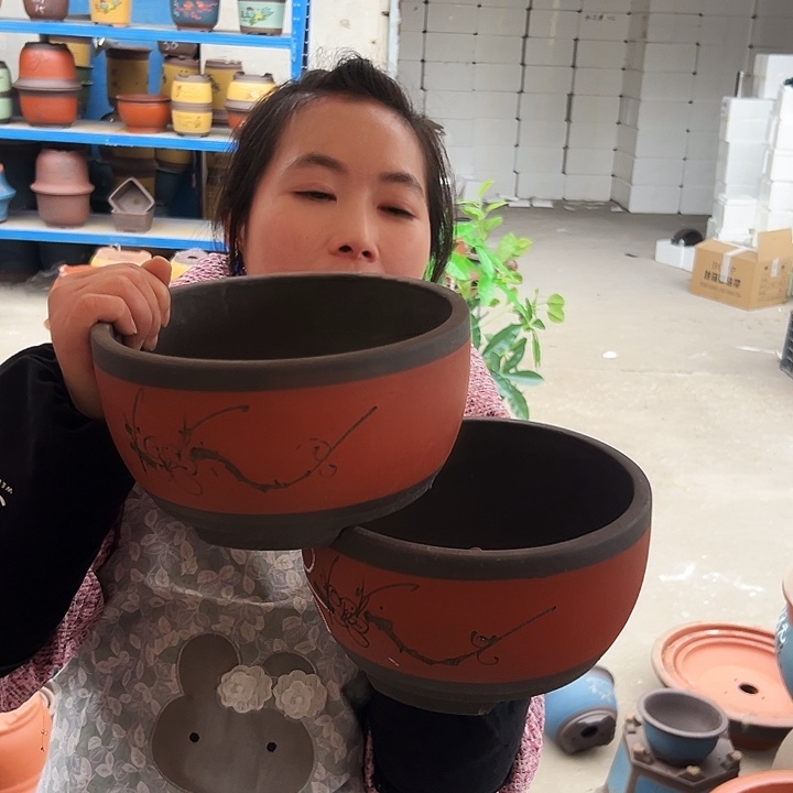 20-20红球盆花盆花盆