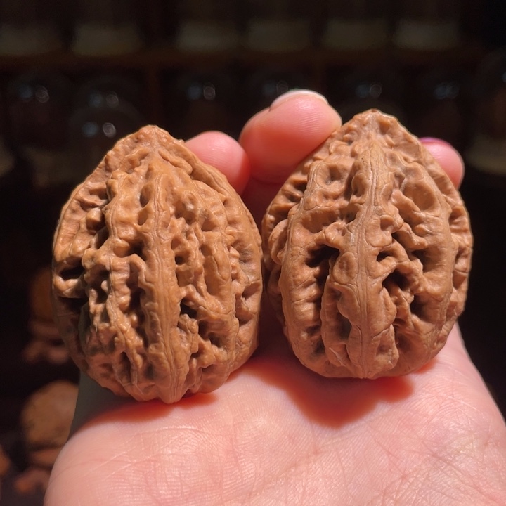 文玩核桃把件红珊瑚