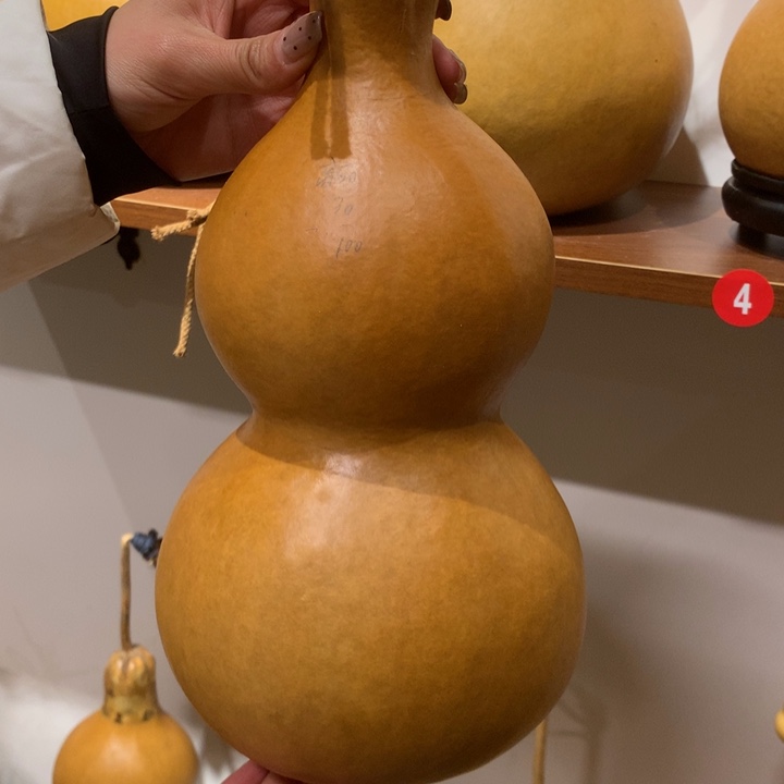 *****中号现货供应充足