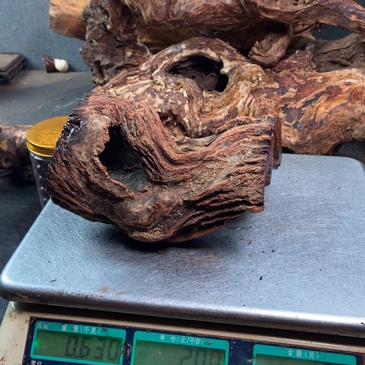 黄花梨/降香黄檀伟****1