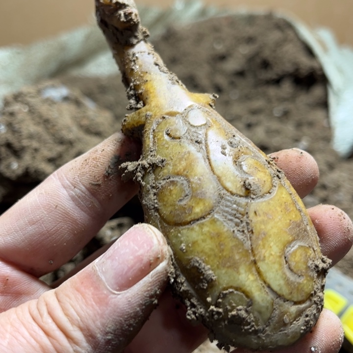 瓷片瓷器艺术家等收藏