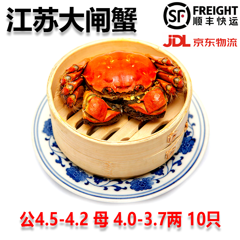【活蟹】江苏大闸蟹 公4.5-4.2两母4.0-3.7两 京东/顺丰快递 10只