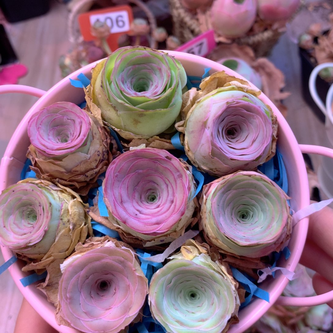 一物一拍花篮福利001