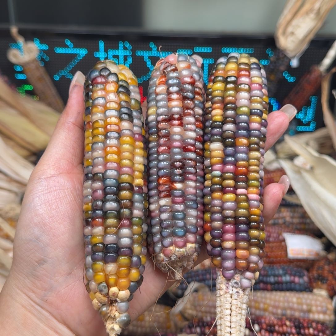 柏香籽/百香籽吊坠小*