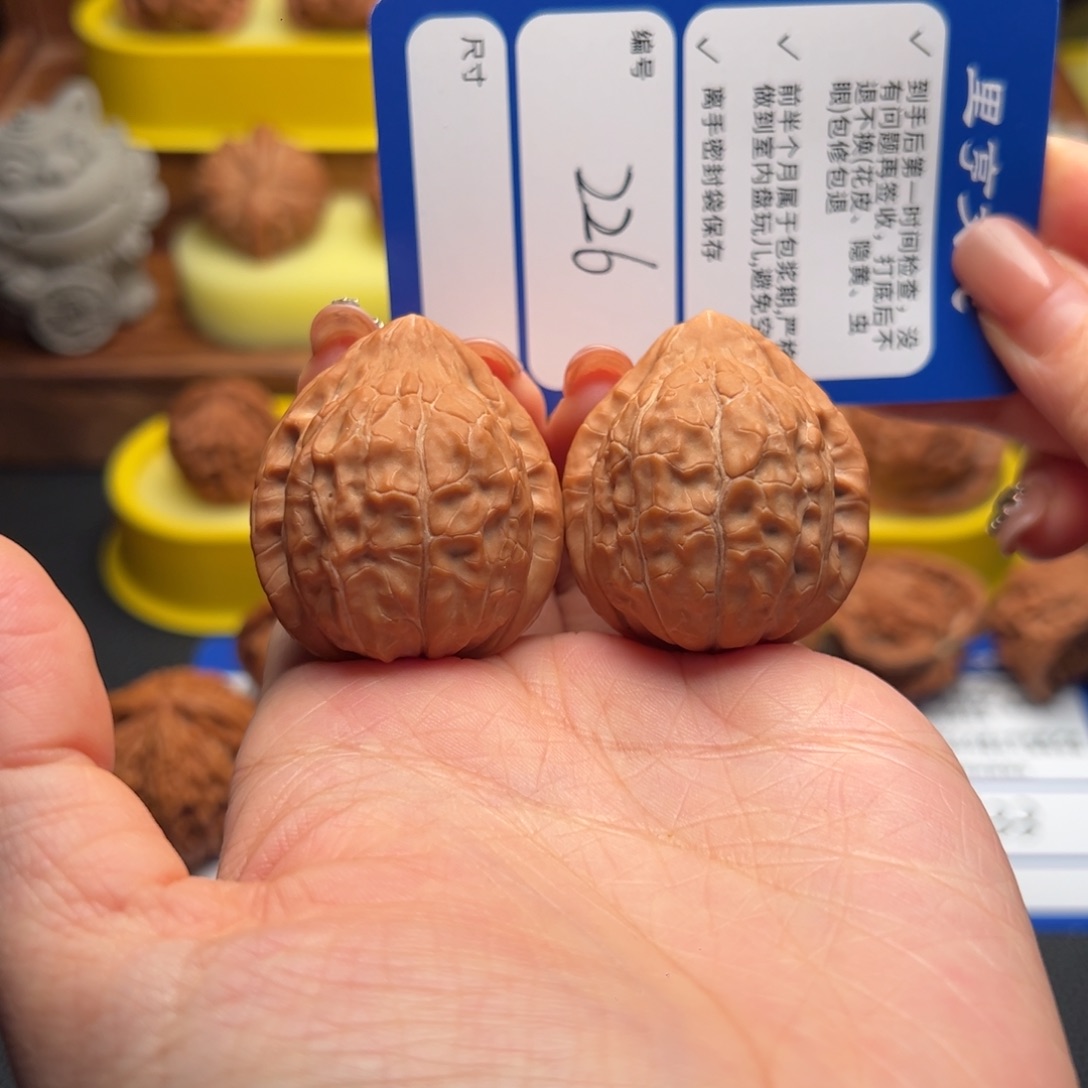 吊坠文玩核桃226龟甲纹35尺