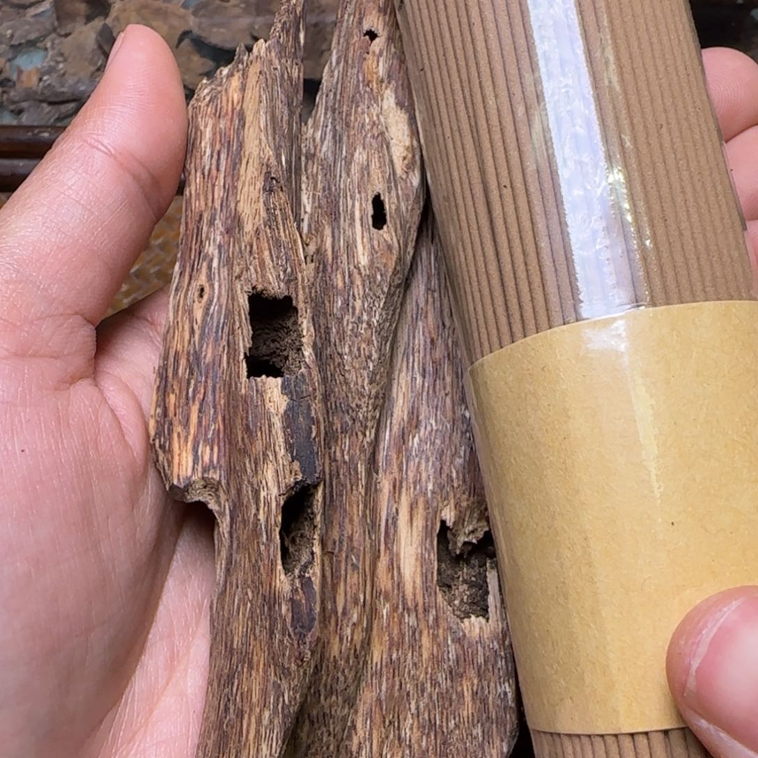 海南天然野琼海虫漏18克重