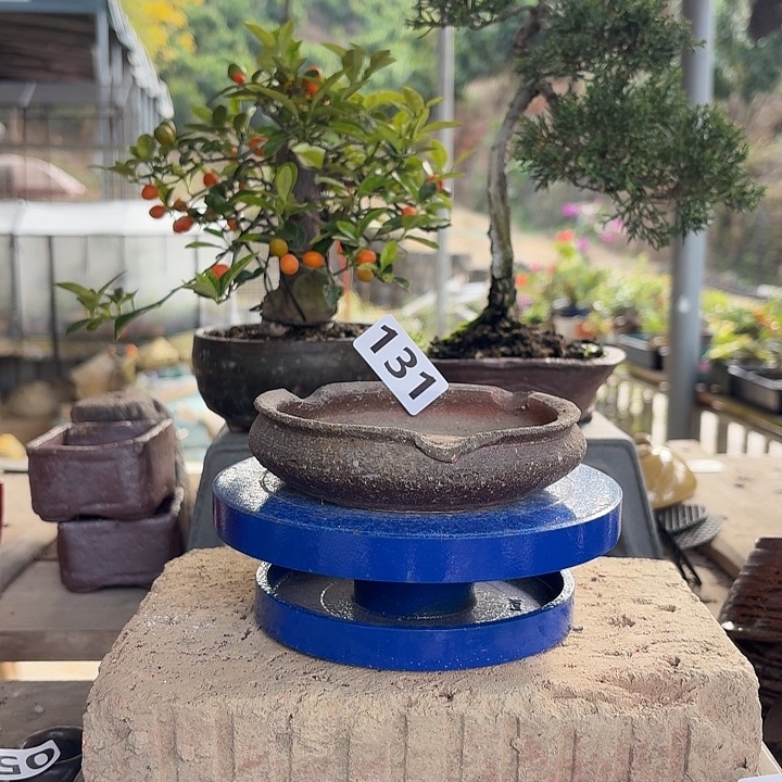 10x2///////131/////花盆