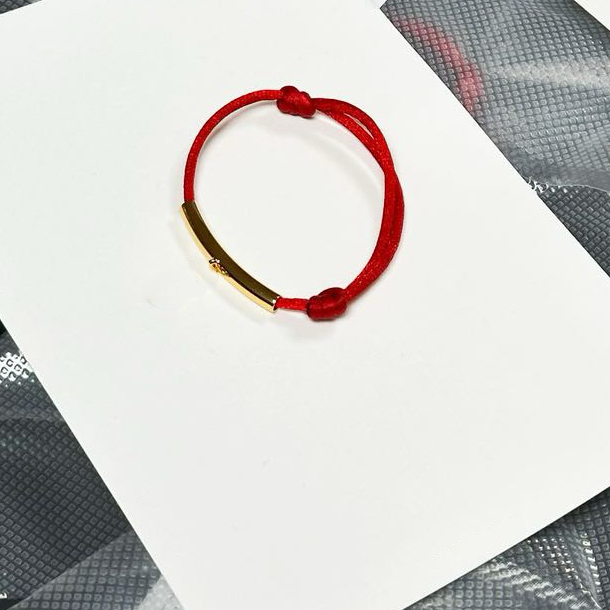蛇 红绳简约气质发绳
