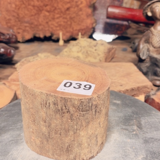 大果紫檀（缅甸花梨）