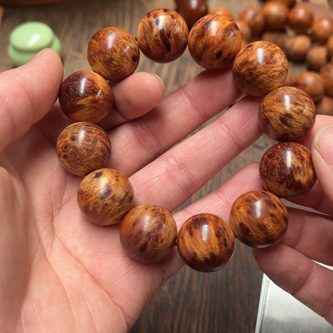 太行崖柏陈化太行