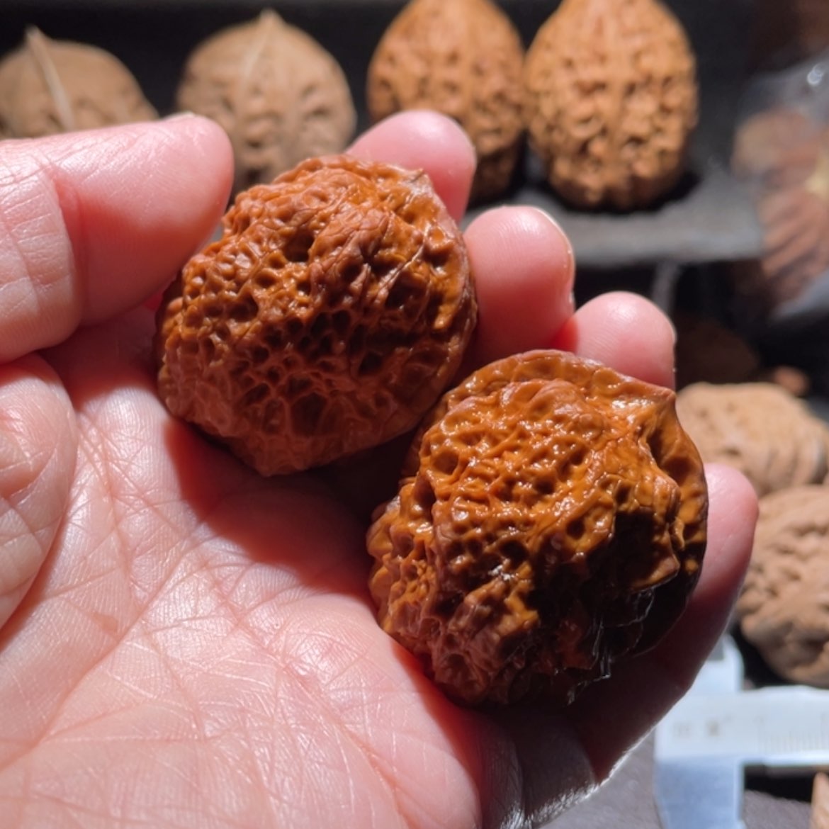 【闪购商品】文玩核桃吊坠东北楸子15