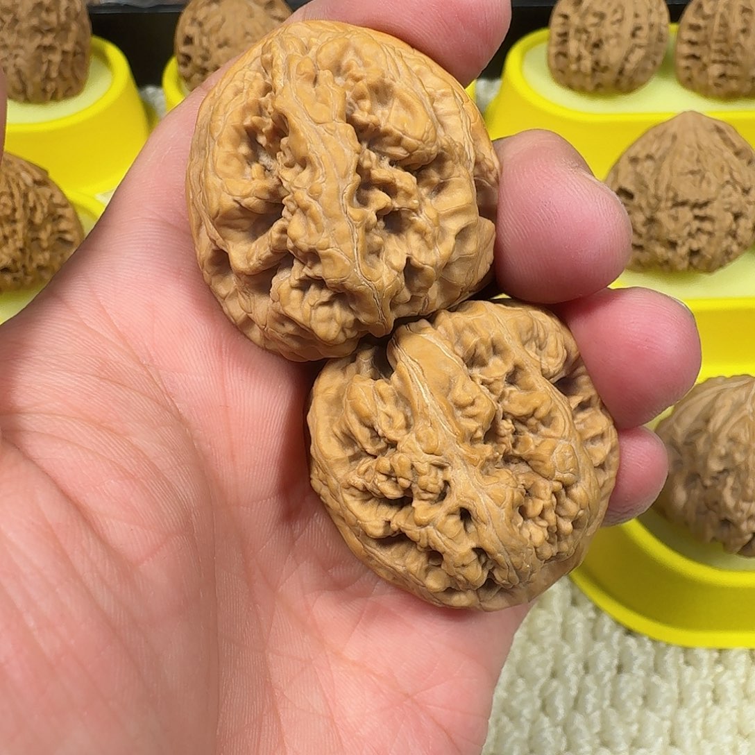 核桃手串/手链粗筋全品 尺寸39