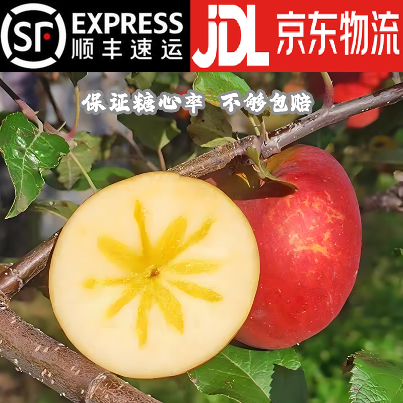 【顺丰包邮】精选高品质保糖心丑苹果四川大凉山盐源冰糖心丑苹果