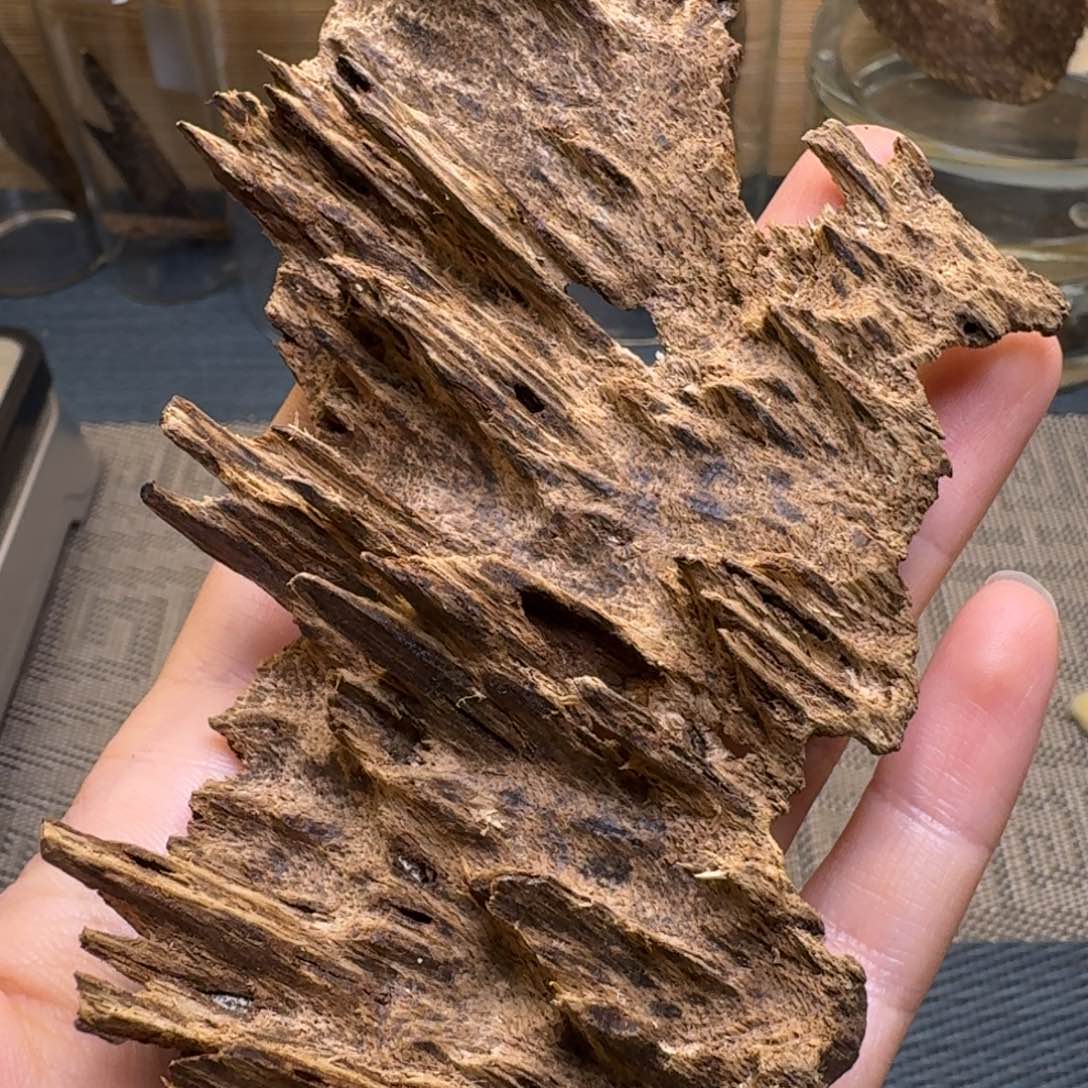 专***.木海南大山沉水吊口25克福利