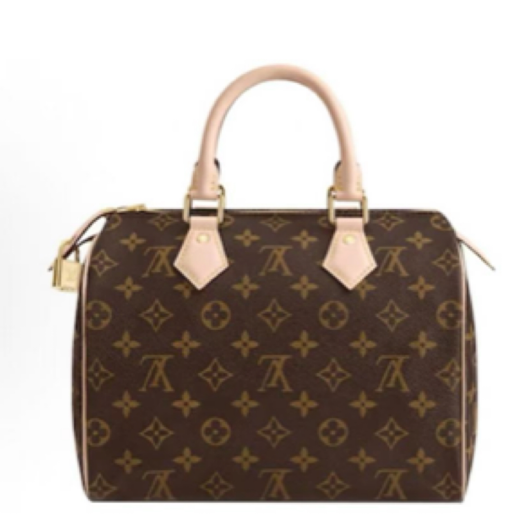 95新 LouisVuitton/路易威登 speedy 30 无肩带款/JW3684