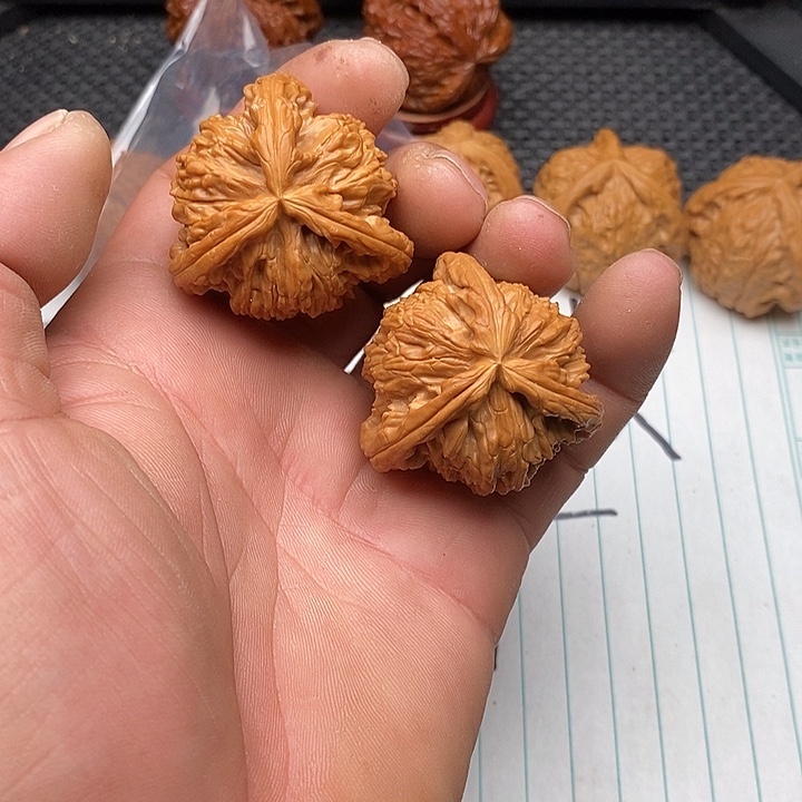 鑫***烤手串/手链核桃白狮子15