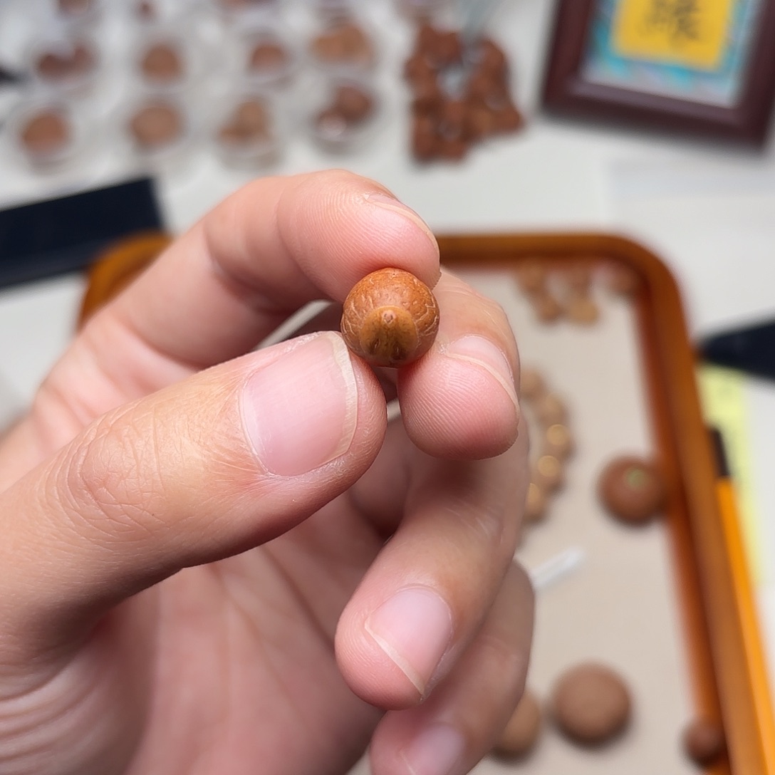 手串凤眼菩提佛眼单颗10.5