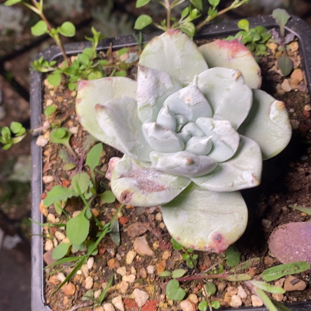 2027哈哈哈哈哈哈哈哈哈哈哈