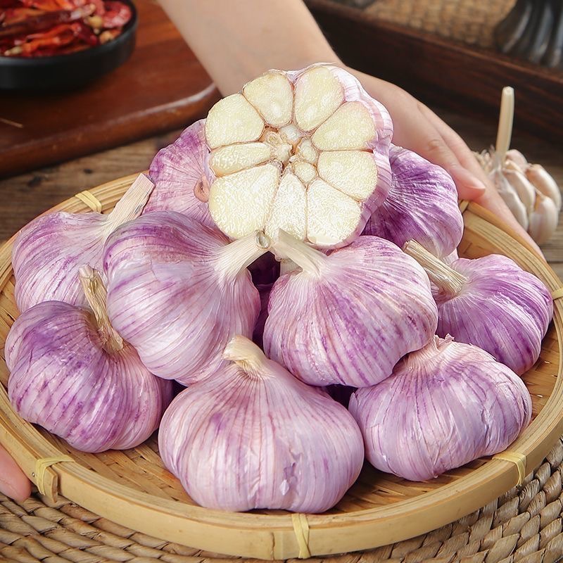 【2025新干蒜】A1正宗紫白皮大蒜新鲜大蒜头辛辣好吃可生吃蒜香浓