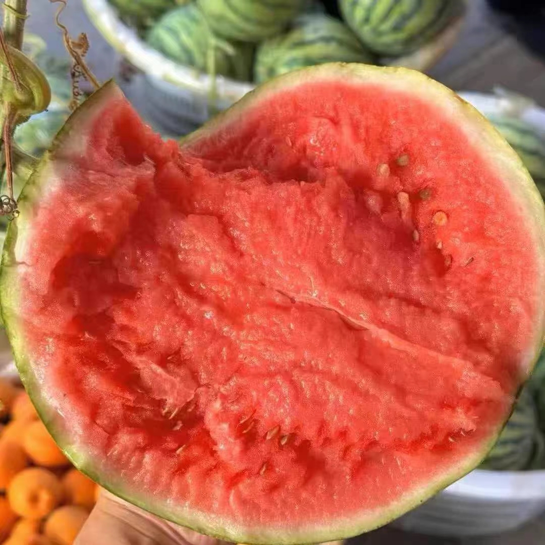 李明星麒麟西瓜