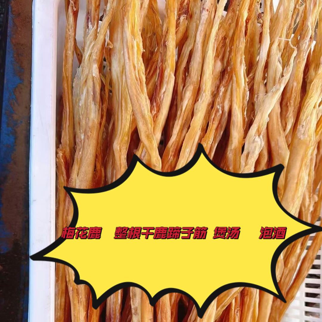 梅花鹿  整根  干鹿蹄子筋  煲汤泡酒