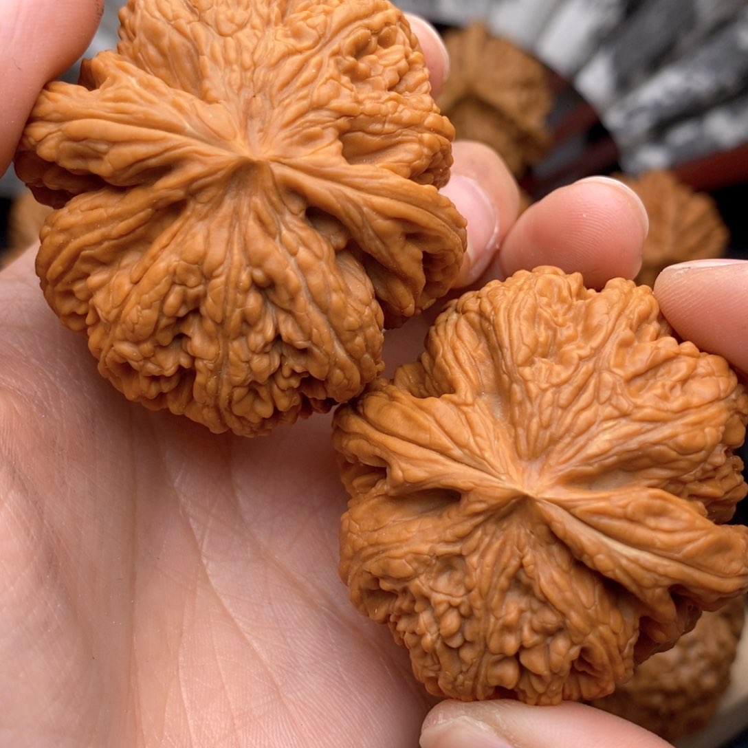 文玩核桃把件47.5全品粗筋