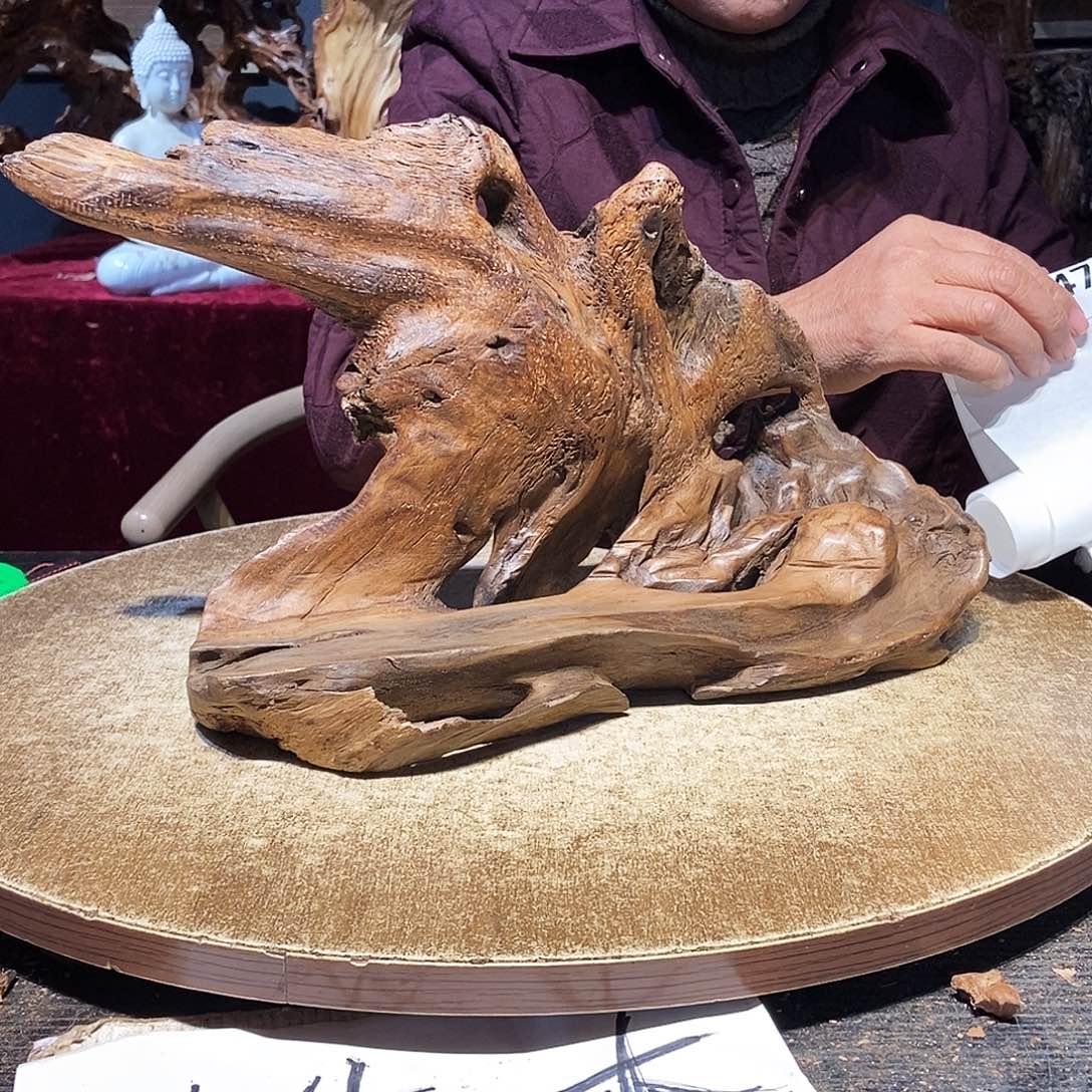 雪***狼847。株木随行根艺