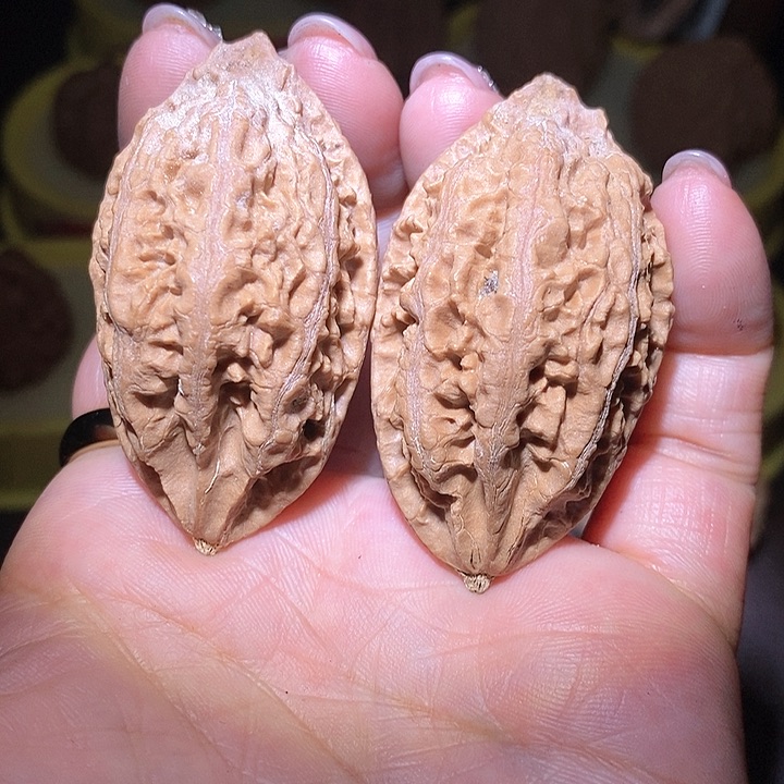 文玩核桃把件东北野生楸子小美8 1