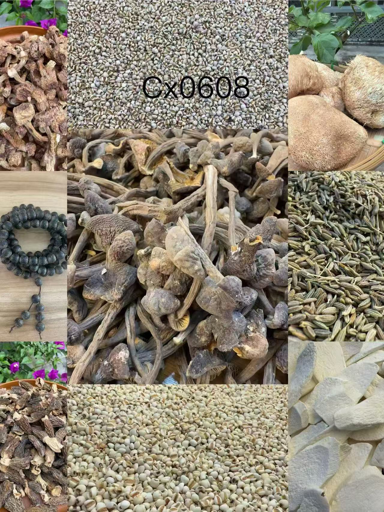 《阿浩专用土特产CX0608》多样性发货 重量42克左右