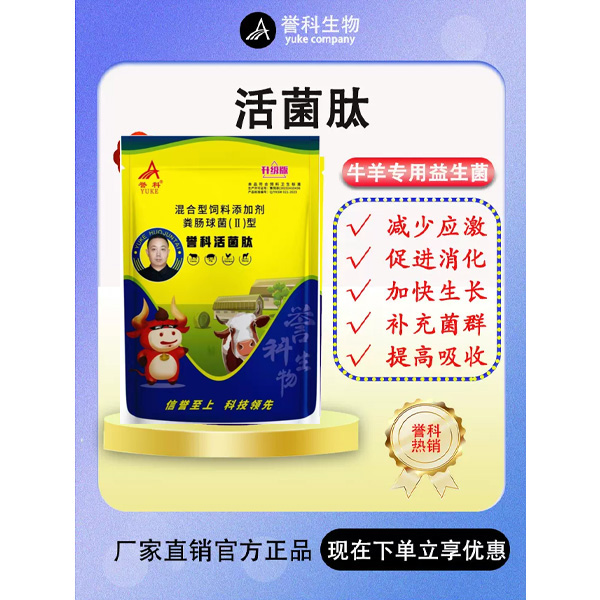 育肥牛催肥拉骨架牛羊通用活菌肽畜牧添加剂调理肠胃增重