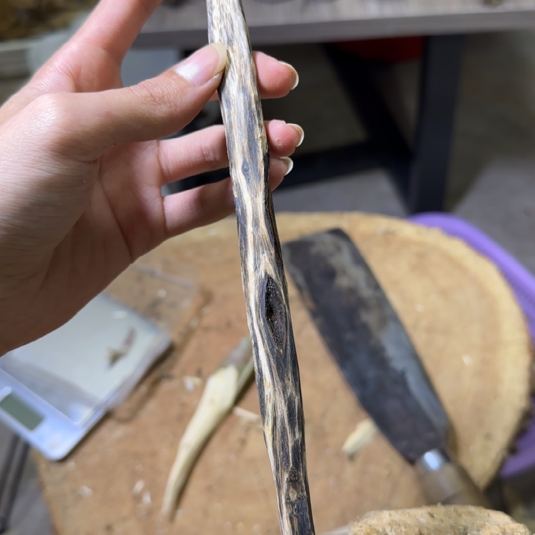 用***1沉香蓝宝石天然虫漏树心发一份