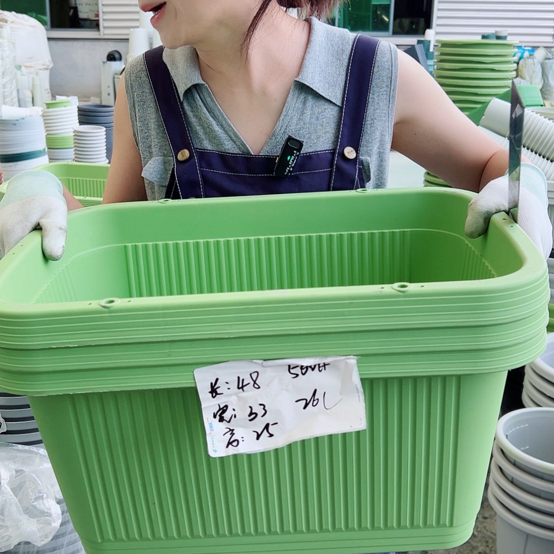 菜盆500#果绿3个无托