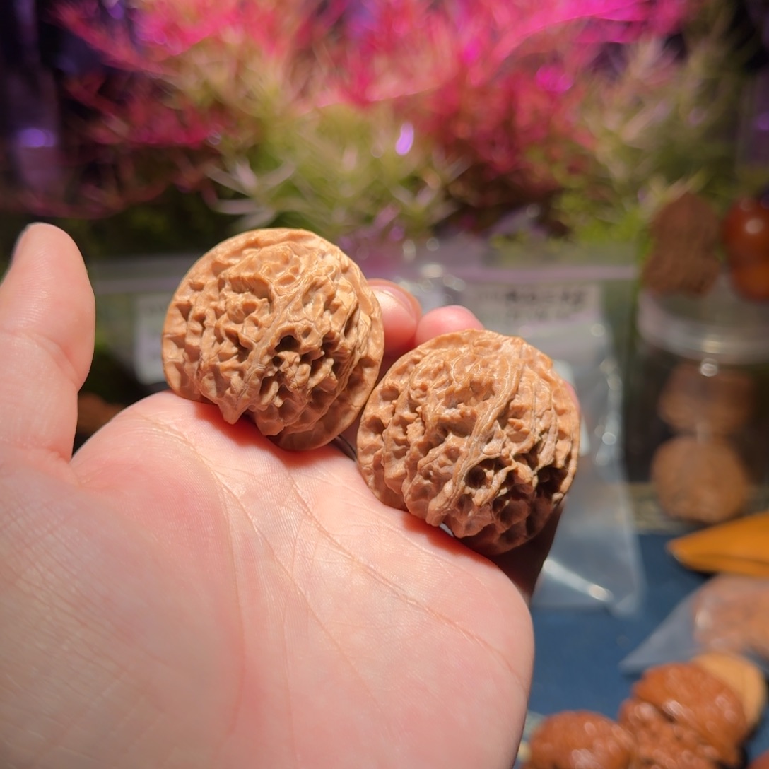 我****由949号41原装苹果园苹果园苹果园