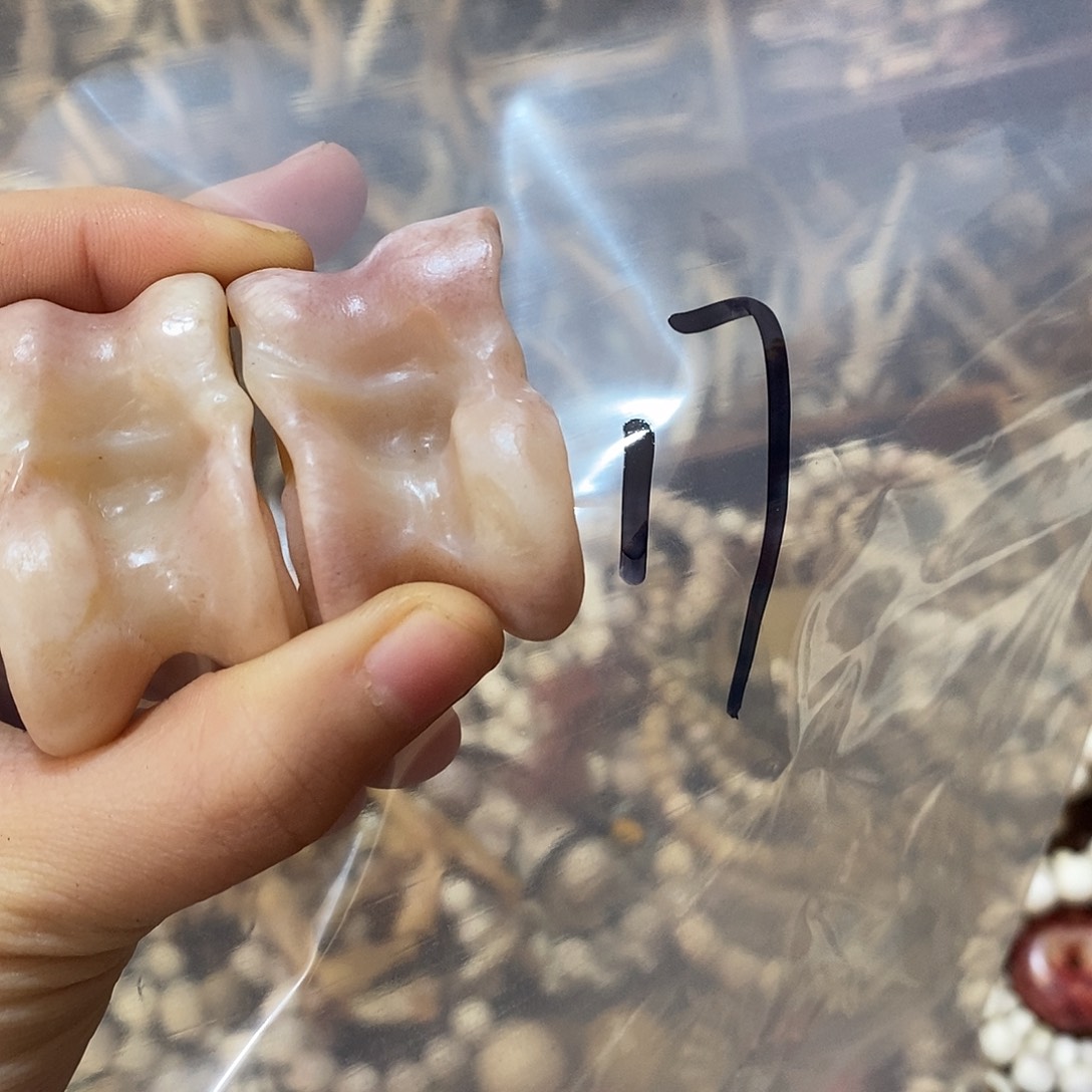 大***到非金属鹿骨鹿骨鹿骨