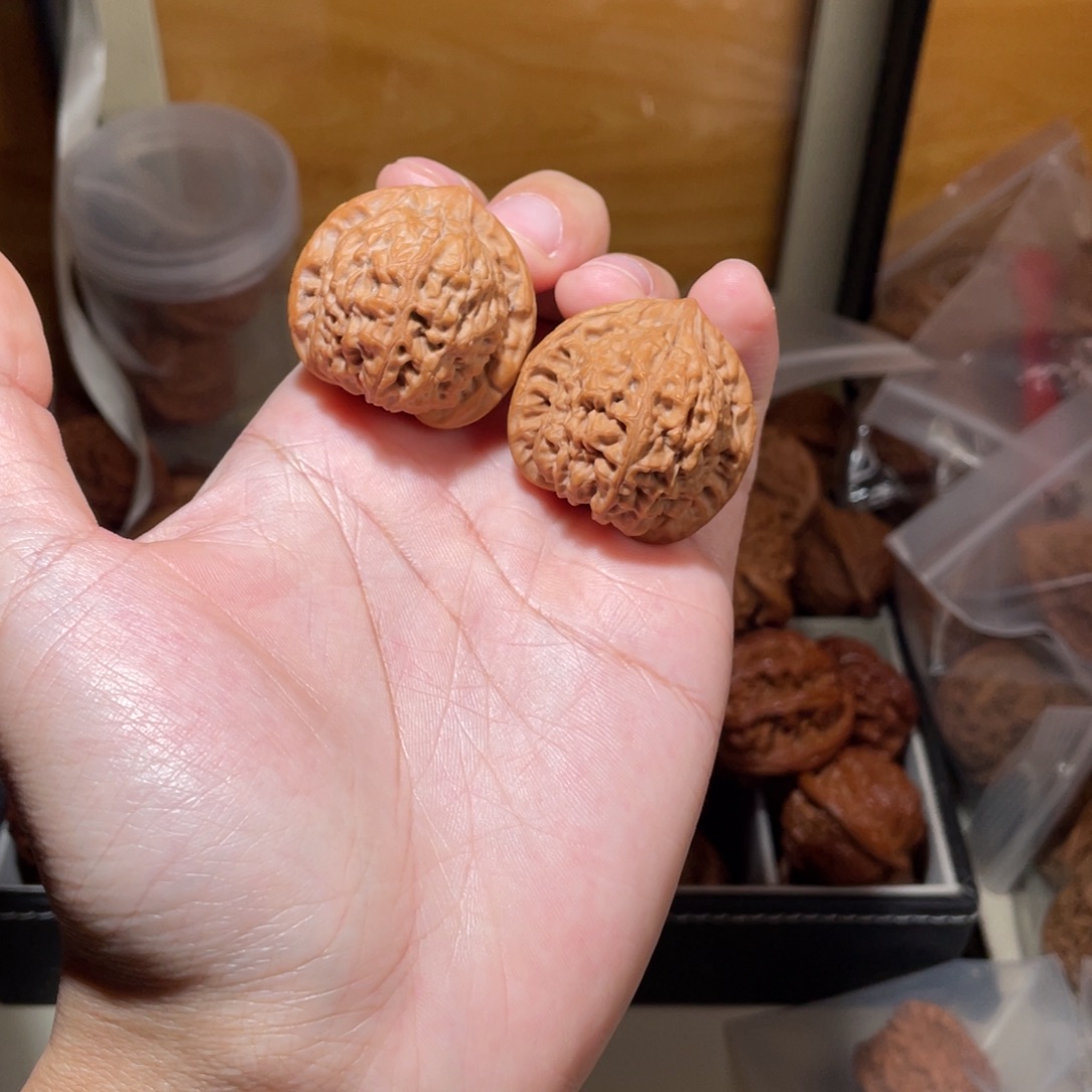 36尺寸全品无修龙公子