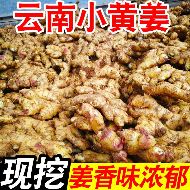 【超低价】云南小黄姜现挖生姜老姜仔姜嫩姜新鲜蔬菜特级整箱包邮