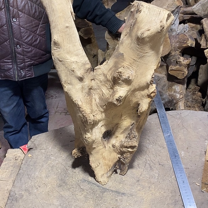 乌木类A*语金丝楠木小叶