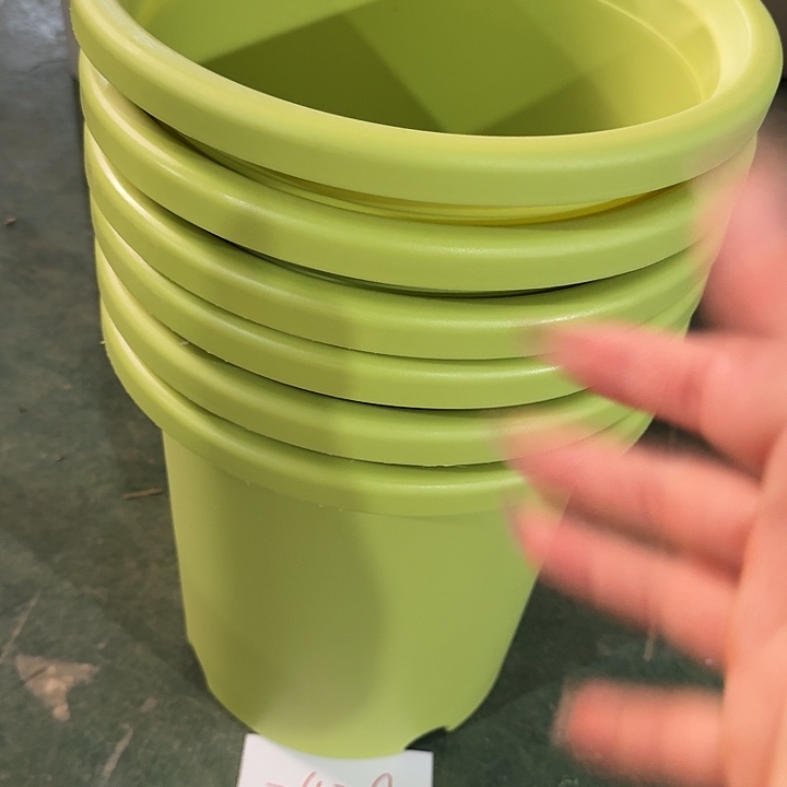 编号编号编号2429