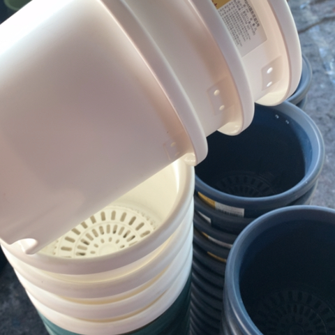 树脂17口白色无托3个