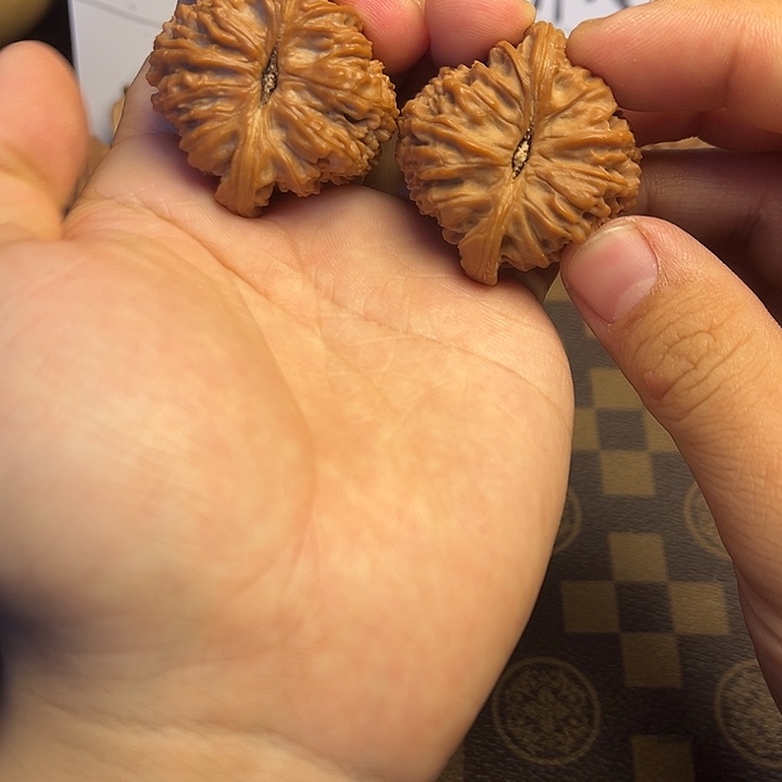 大叶紫檀（黑酸枝木类）