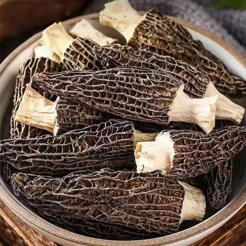 【羊肚菌】新鲜羊肚菌干货古田菌子特产