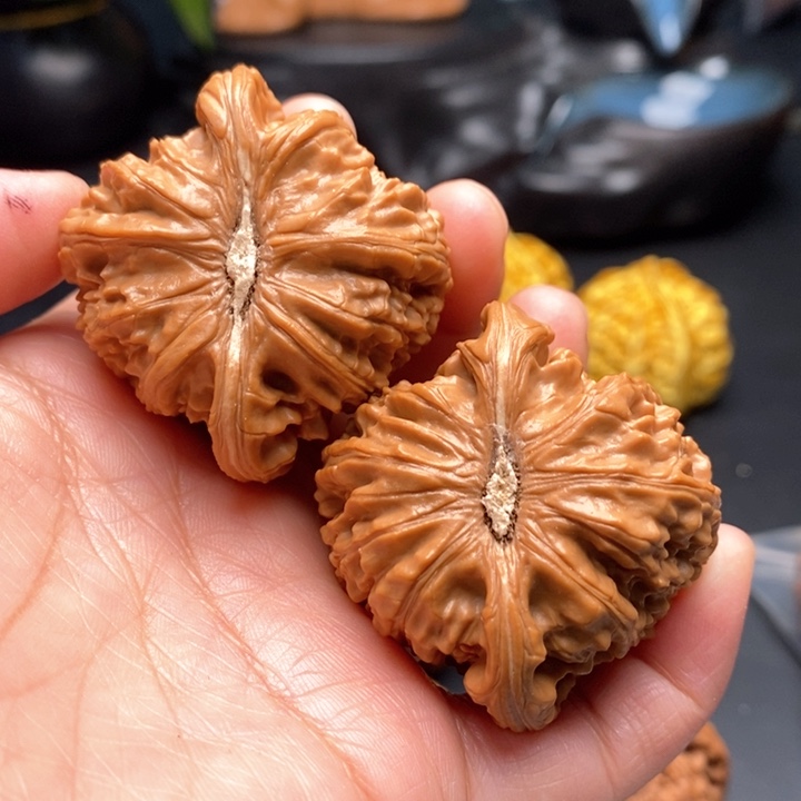 文玩核桃把件白狮子45尺