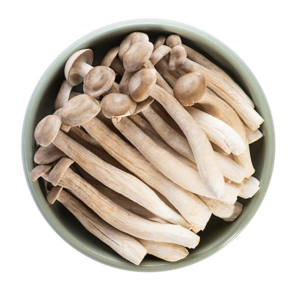 鹿茸菇  约200g一份 同城配送